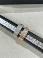 [Eternal Jewelry]LIENS EVIDENCE  DIAMOND PAVED RING - Image 4