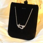 [Eternal Jewelry]FORCE 10 DIAMOND SILVER NECKLACE MINI MODEL - Image 2