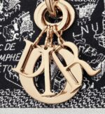 MEDIUM LADY D-LITE BAG Embroidery - Image 6